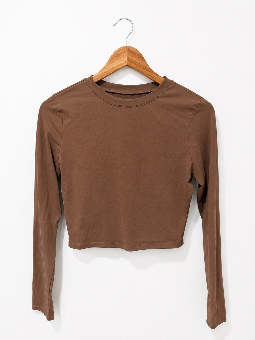 Mauve Long-Sleeve Crop Top in Brown